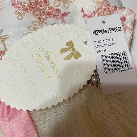 AMERICAN Princess Pink Embroidered Floral Tulle Ballgown Dress Girls 3T - Picture 5 of 6